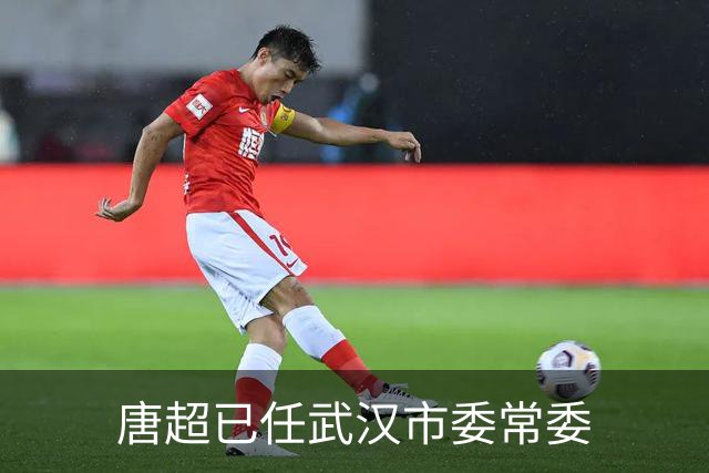 唐超已任武汉市委常委